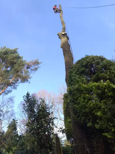 Swipe To View More Images