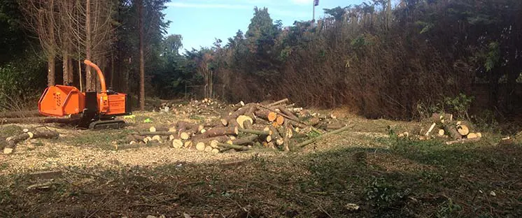 Site Clearance