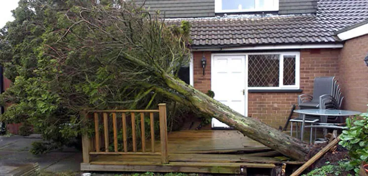 Storm Damage