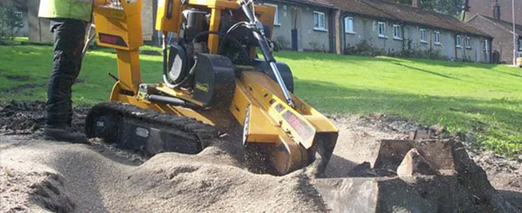 Stump Grinding